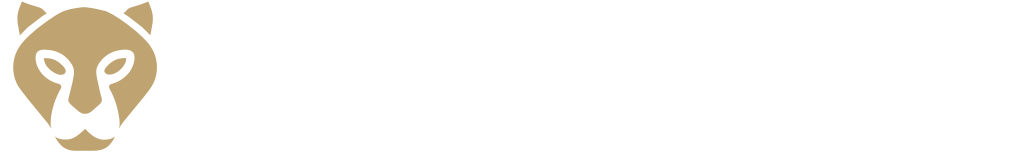 Luxury Drive Berlin